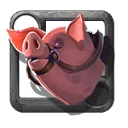 Cerdo del reclutador